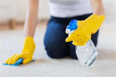 Carpet Repair 101: A Beginner's Guide to Fixing Common Carpet Issues